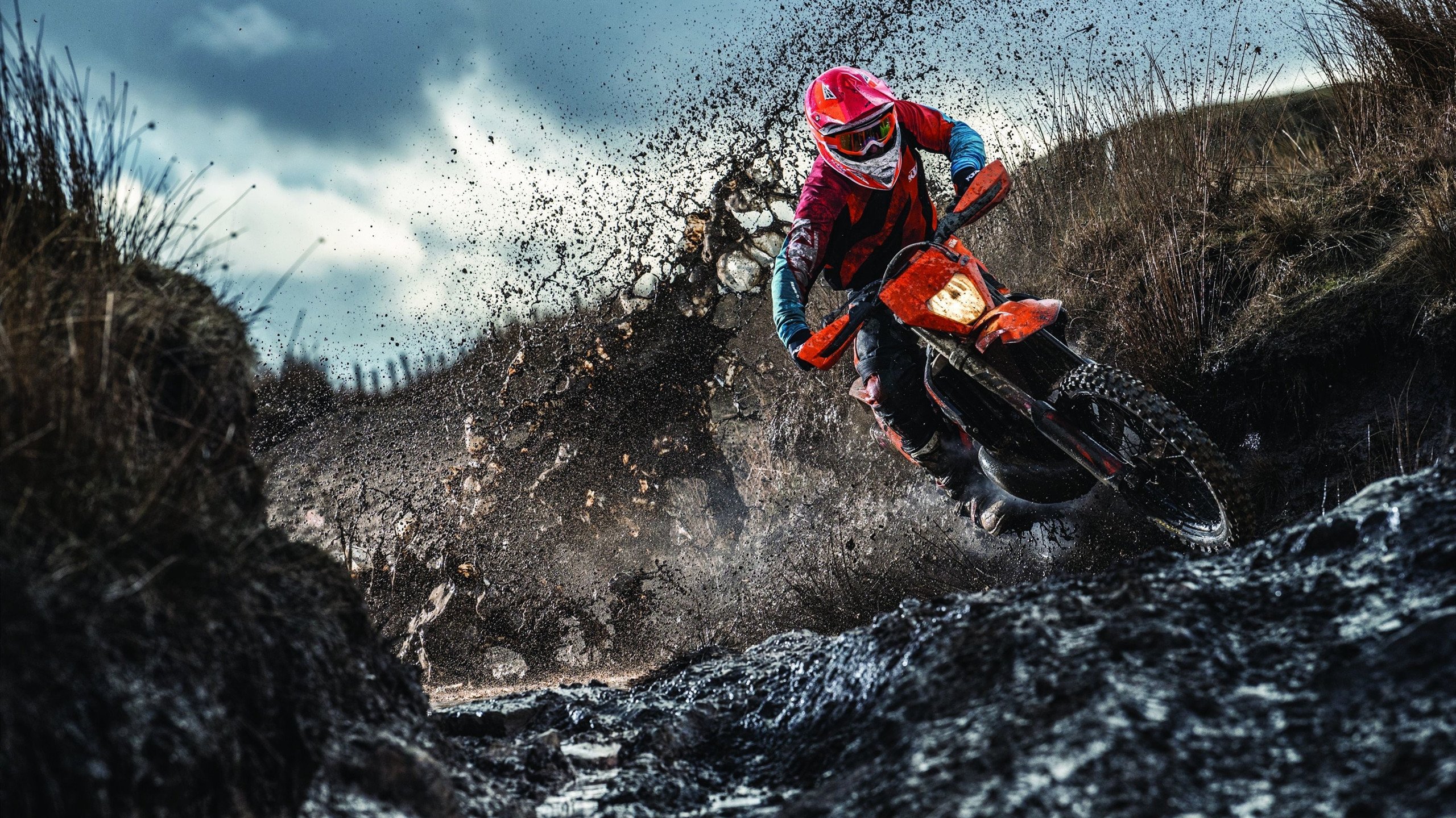 新王登基，切特关键一击，开拓者狂胜国王的背后